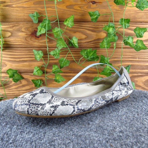 Cole Haan Women's Snakeskin Ballet Gray Leather Sz 8.5 Medium Gently Used 2025 - Picture 1 of 6